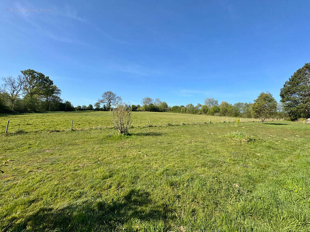 Maison à SORTOSVILLE-EN-BEAUMONT