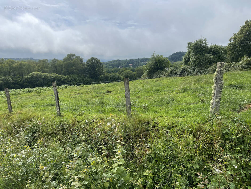 Terrain à RAZES