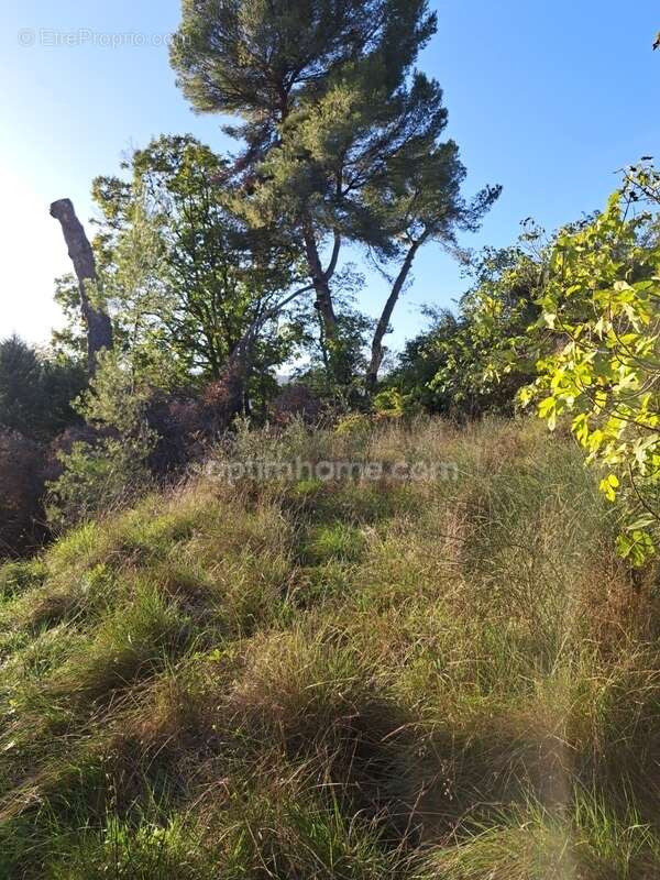 Terrain à MANOSQUE