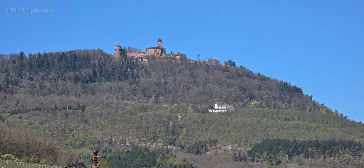Maison à RIBEAUVILLE