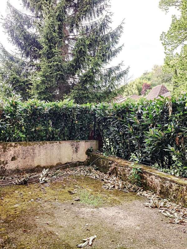 Maison à LE BUISSON-DE-CADOUIN