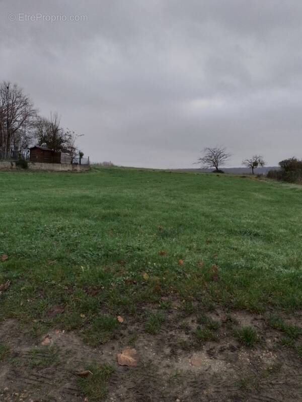 Terrain à MACHEMONT