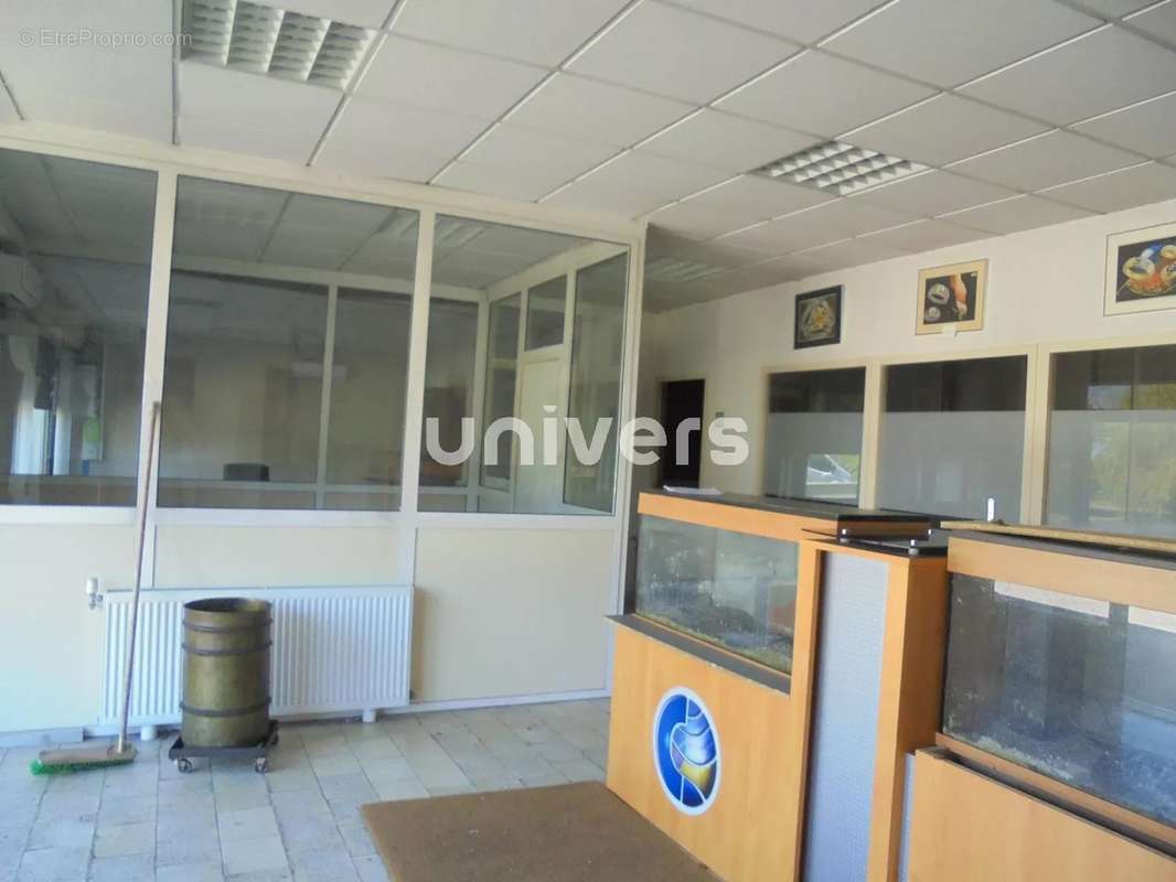 Commerce à MONTELIER