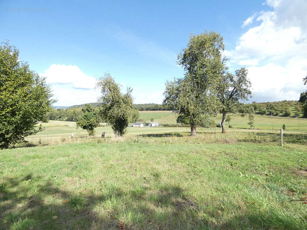 Maison à LE TEILLEUL