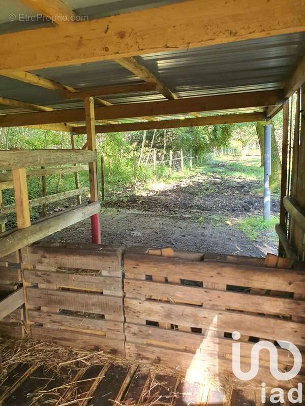 Photo 6 - Terrain à SALLES