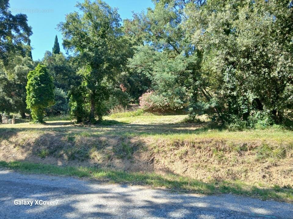 Terrain à LES CLUSES