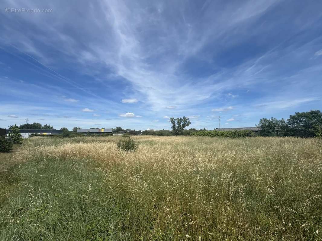 Terrain à ALBI