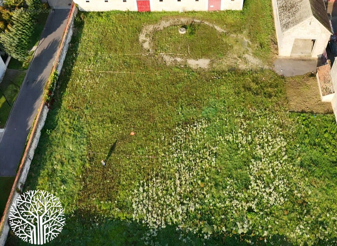 Terrain à COURANCES