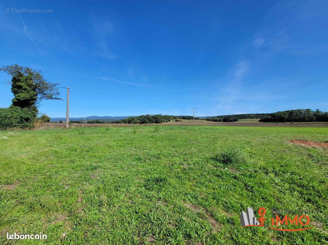 Terrain à MEXIMIEUX