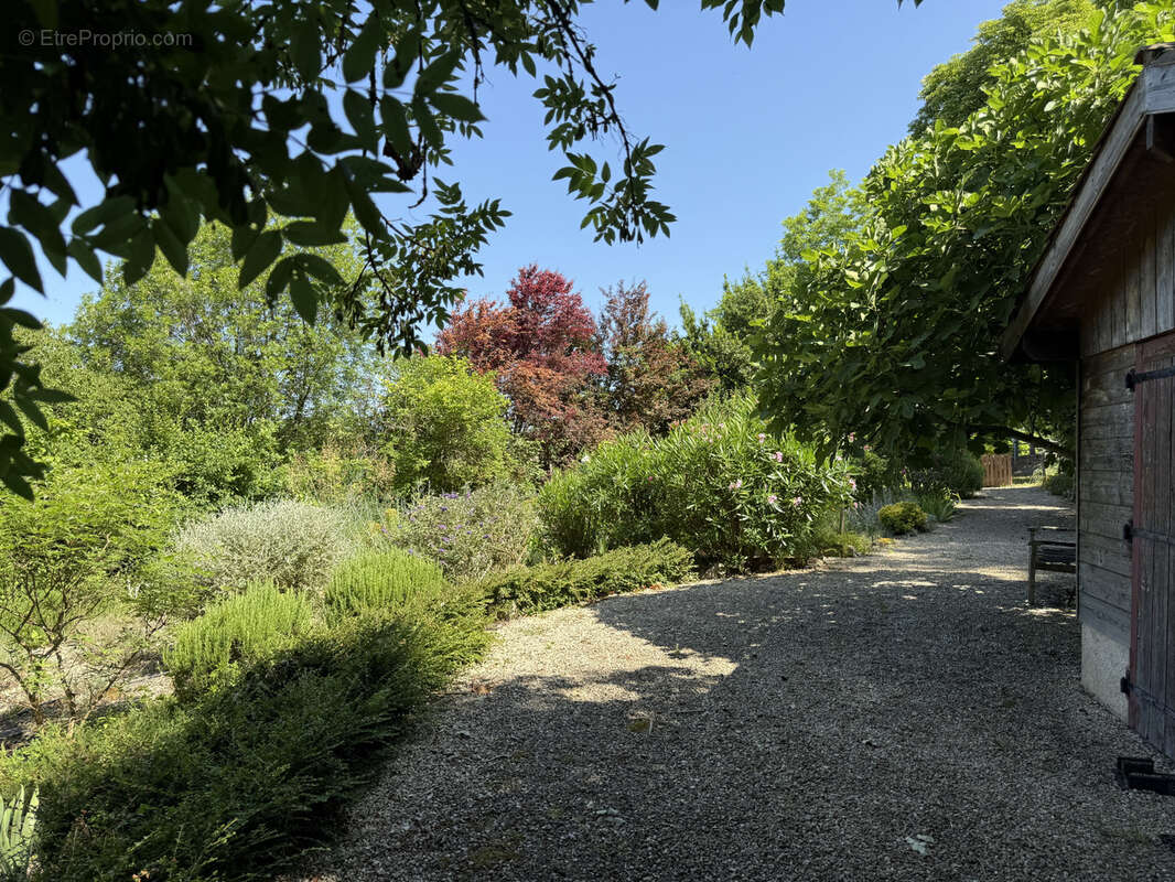 Ancien presbytère avec jardin dans le cœur du village de Montréal du Gers - photo 25