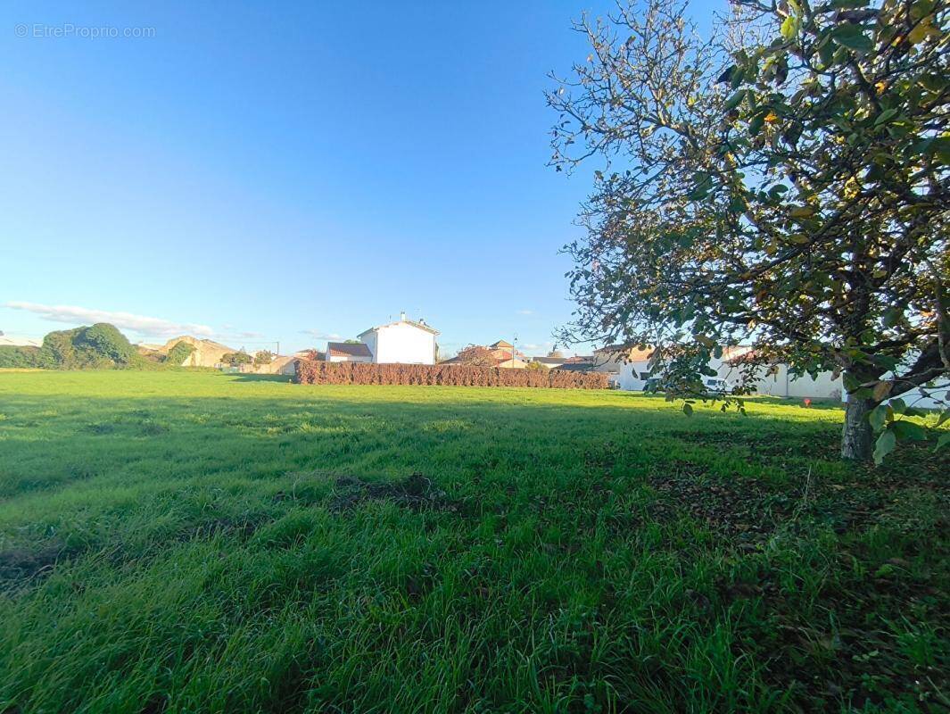 Terrain à PUYRAVAULT