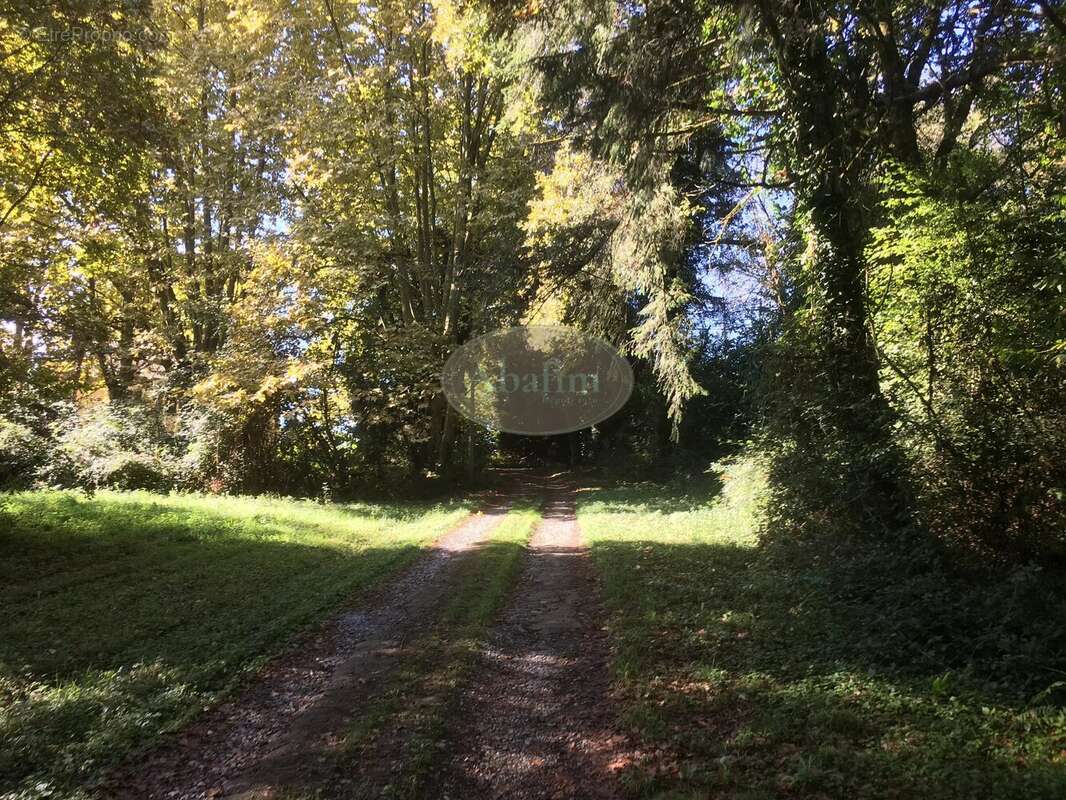 Maison à SAINT-PALAIS