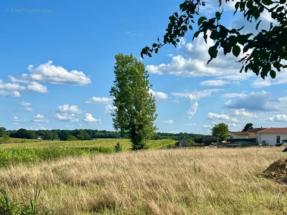 Terrain à SAINT-MARTIN-LE-CHATEL