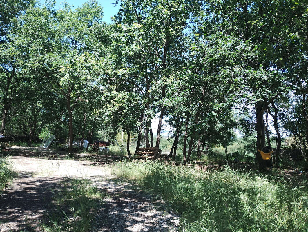 Vends terrain agricole et de loisirs 15 929 m2 - 34800 La Coste - photo 4