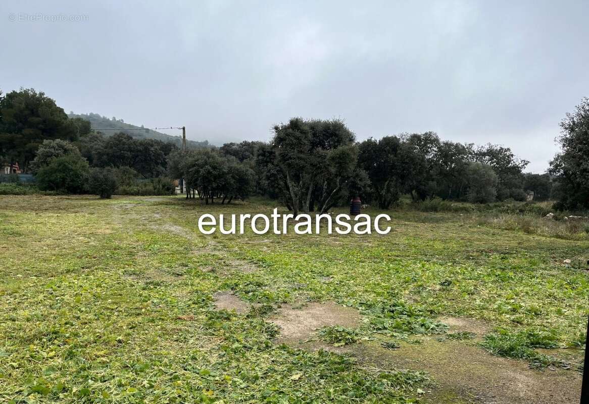 Maison à BALARUC-LE-VIEUX