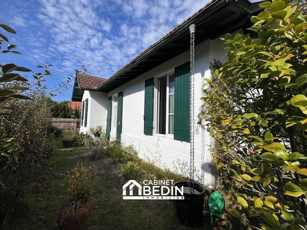 Maison à AUDENGE