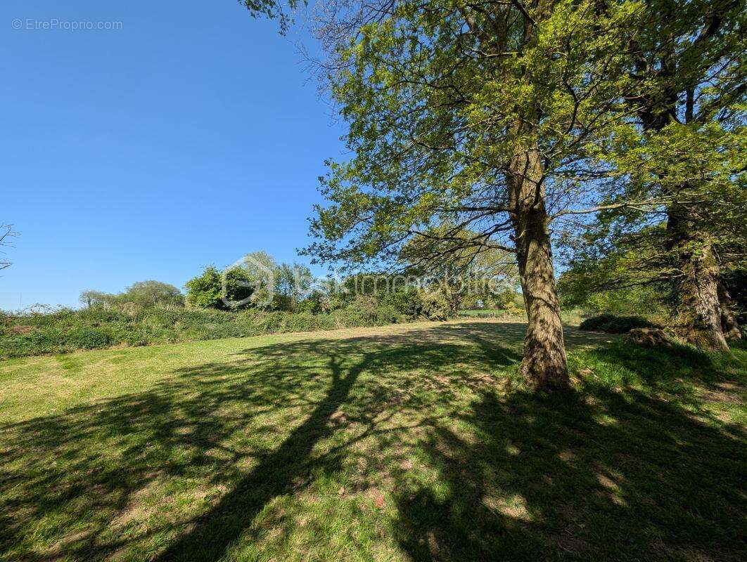 Maison de campagne - photo 2