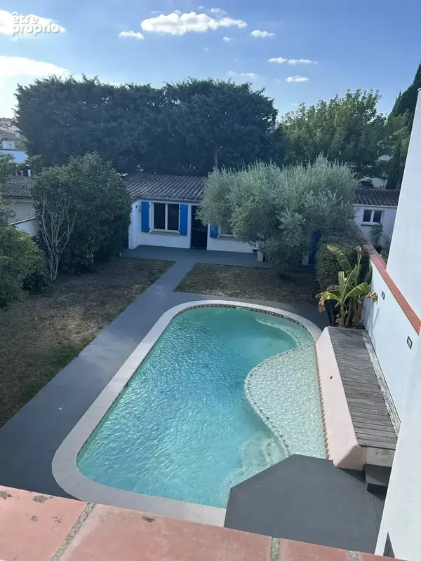 Belle Toulousaine Cote Pavée - photo 16