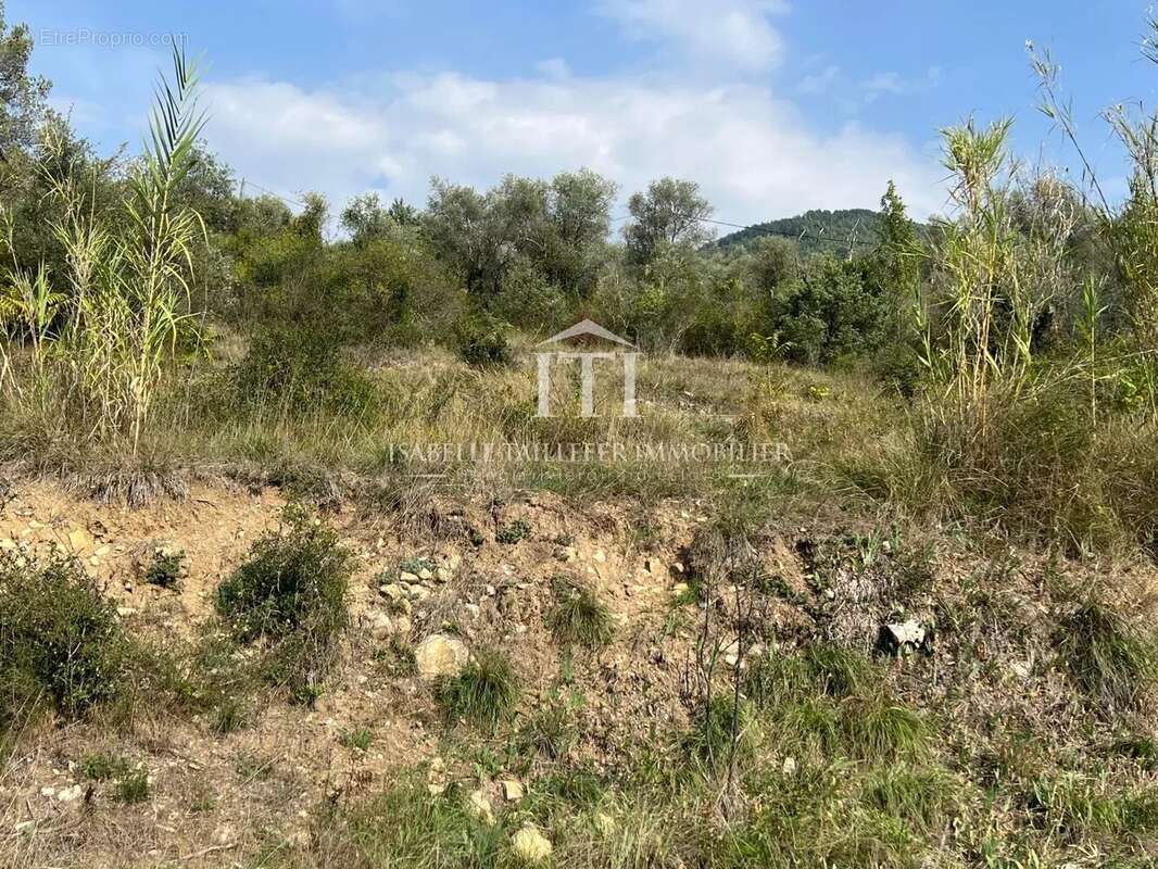 Terrain à L'ESCARENE