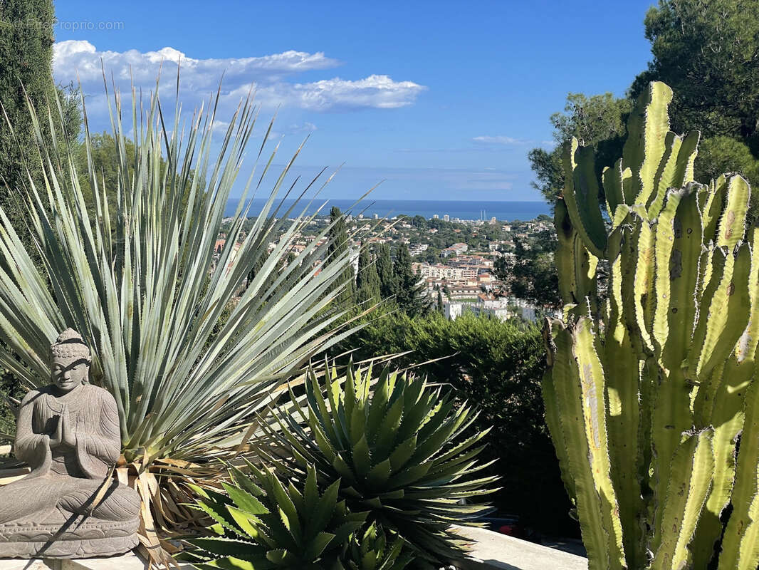 Maison à CANNES