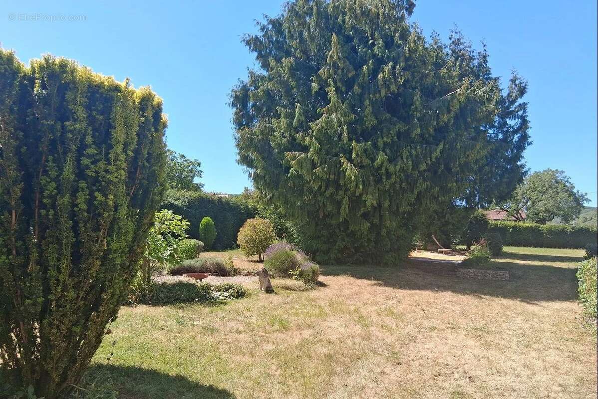 Limite aube yonne - photo 2