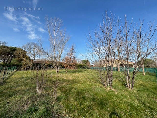 Terrain à LAUNAC
