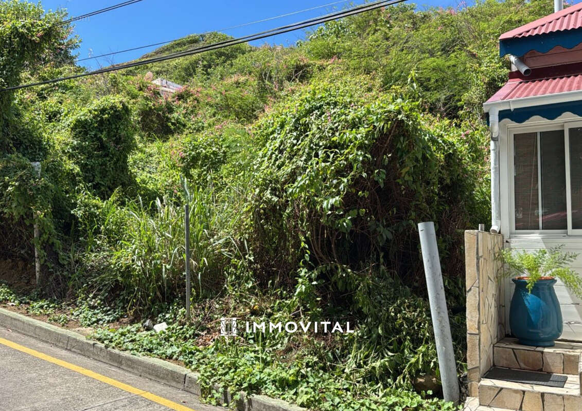 Terrain à TERRE-DE-HAUT