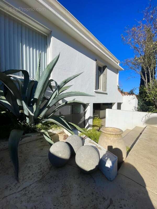 Maison à TORREILLES