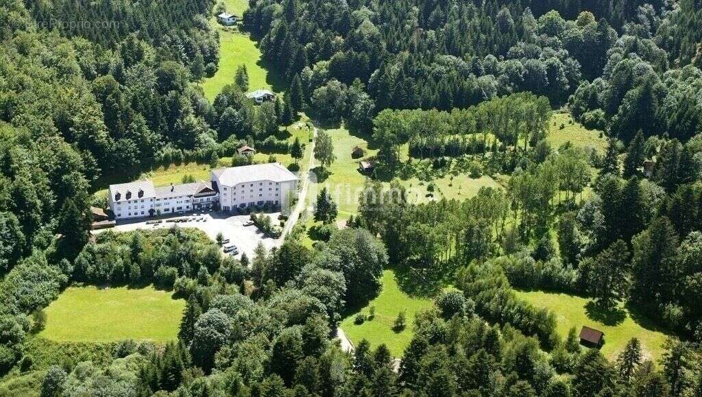 Immeubles 5000 m2 sur 4 ha Murbach - photo 2