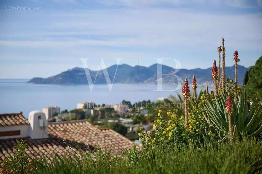 Maison à CANNES