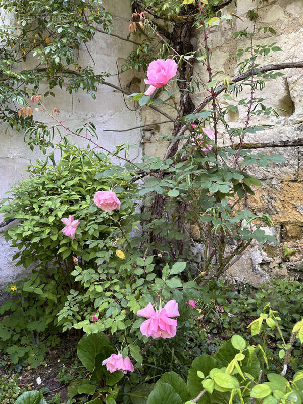 Maison à LOCHES