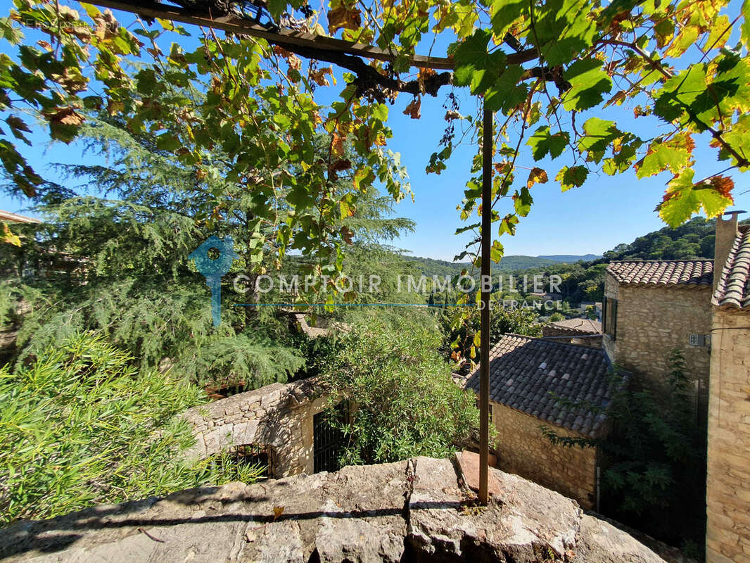 Village médiéval de la Vallée de la Cèze : Jolie Maison de village avec 2 terrasses ayant vue dominante - photo 11