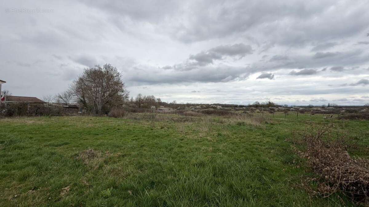 Terrain à SAINT-NIZIER-LE-DESERT