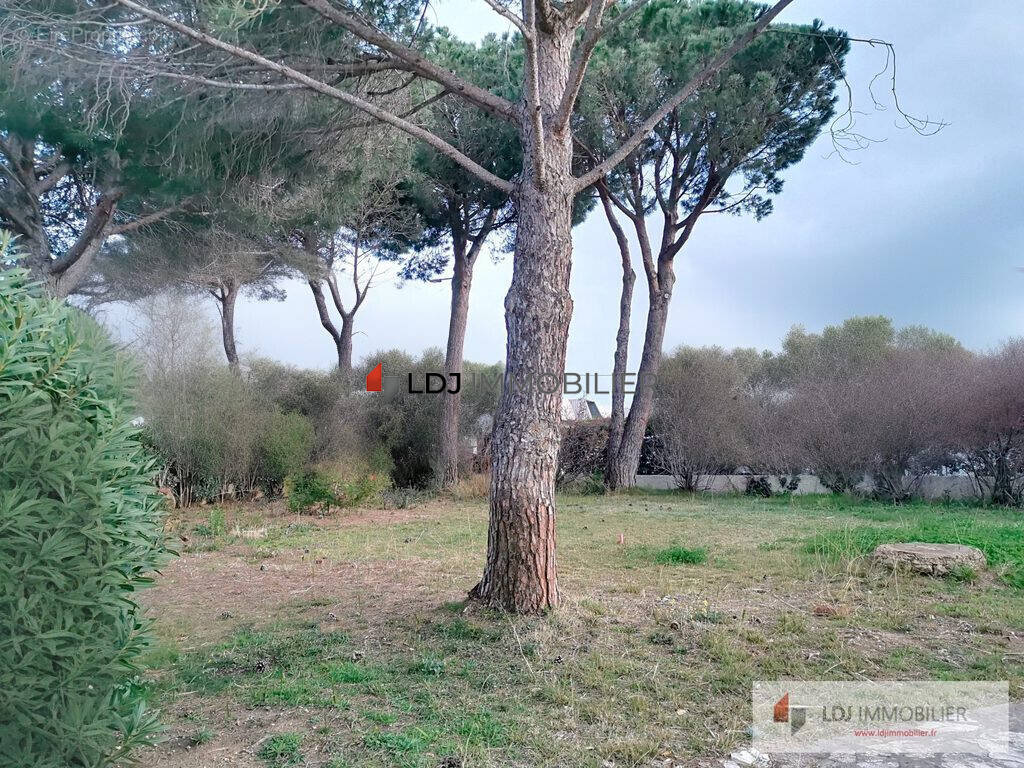 Terrain à SAINT-ESTEVE