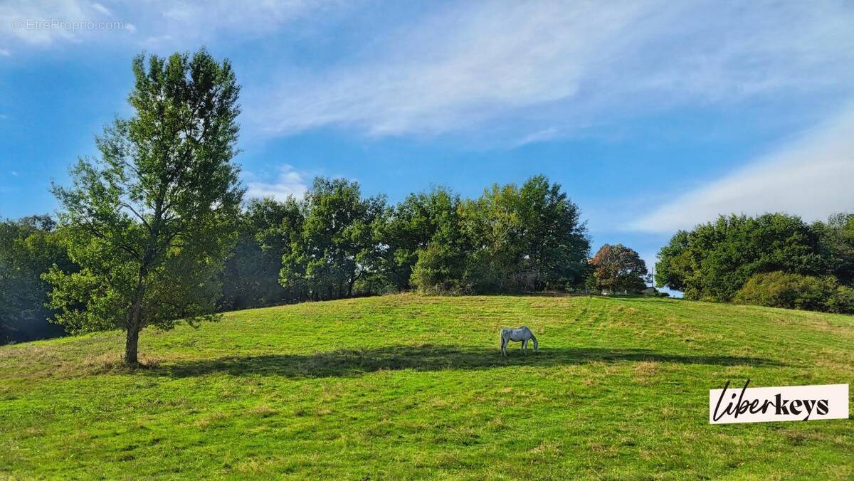 Terrain à LESCURE-D&#039;ALBIGEOIS