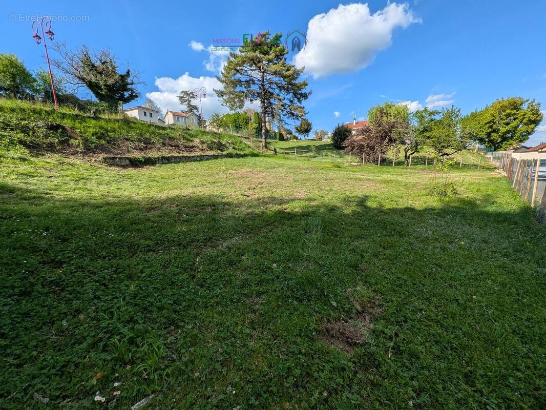 n°2 - Terrain à MOISSIEU-SUR-DOLON