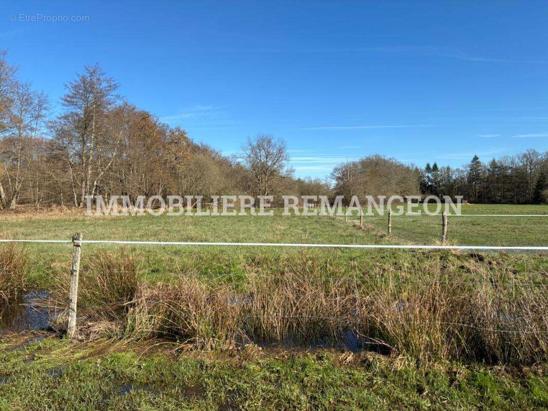 Maison à NEUVY-SUR-BARANGEON