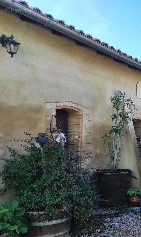 Maison à LISLE-SUR-TARN