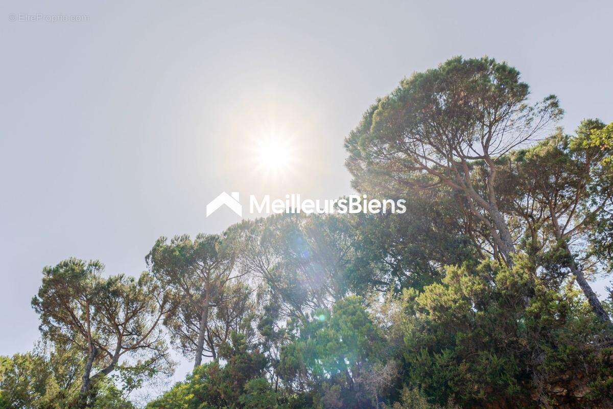 Propriété vendue avec permis de construire accordé pour une villa contemporaine - photo 21