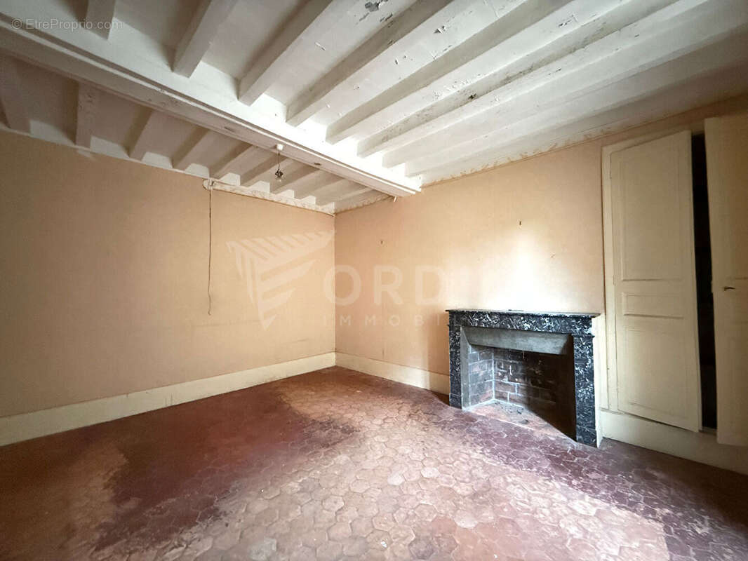 Maison Bonny Sur Loire deux maisons terrain 1762 m² - photo 4