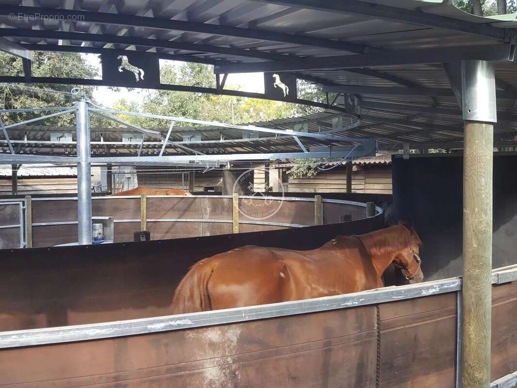 Maison à MONTAUROUX