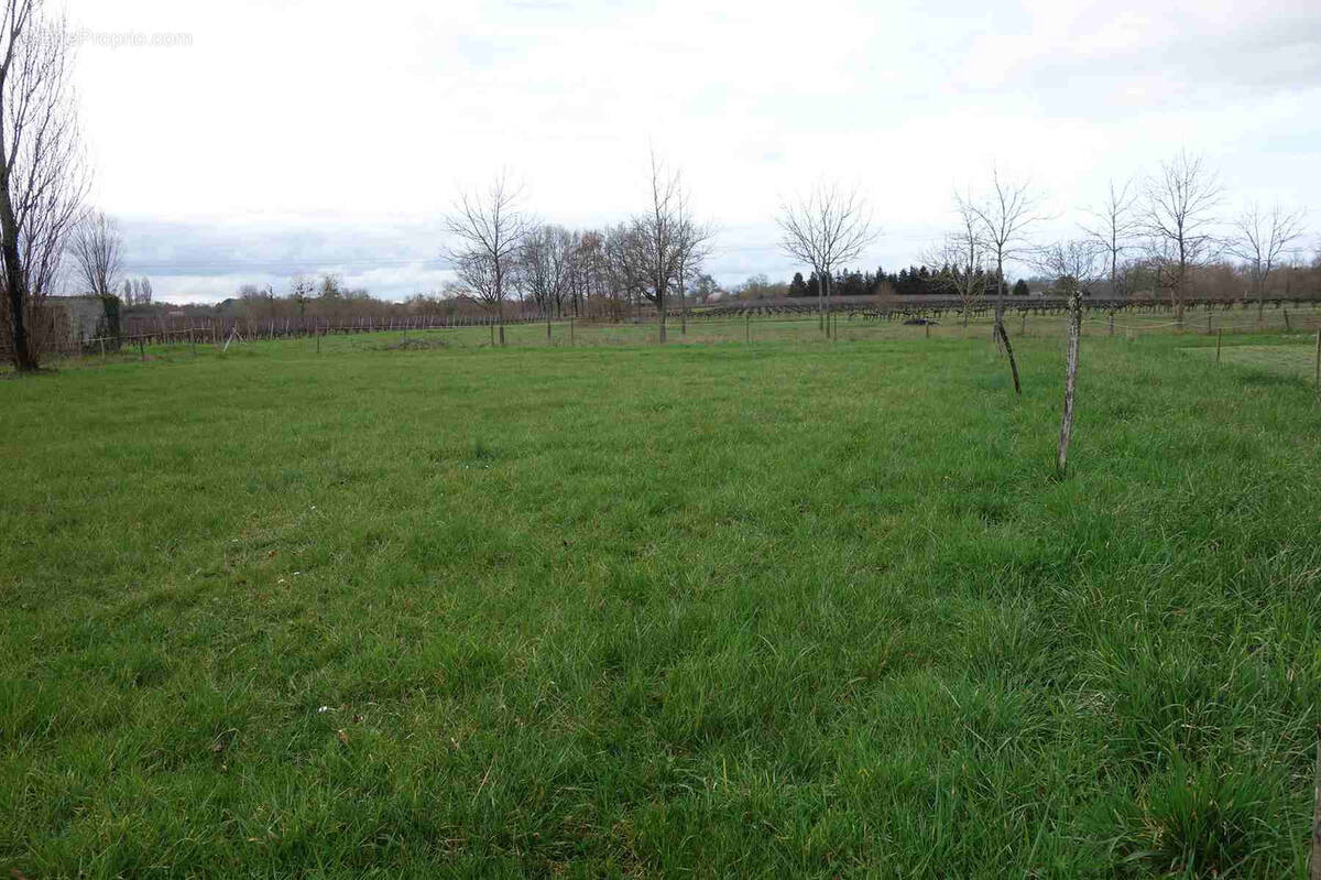 Terrain à CAMPUGNAN