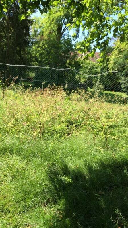 Terrain à LE PLESSIS-BELLEVILLE