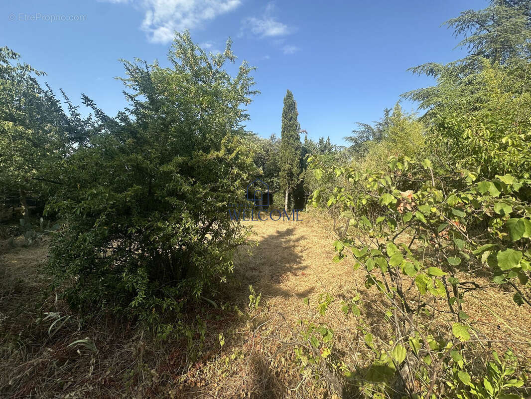 Terrain à BAGNOLS-SUR-CEZE