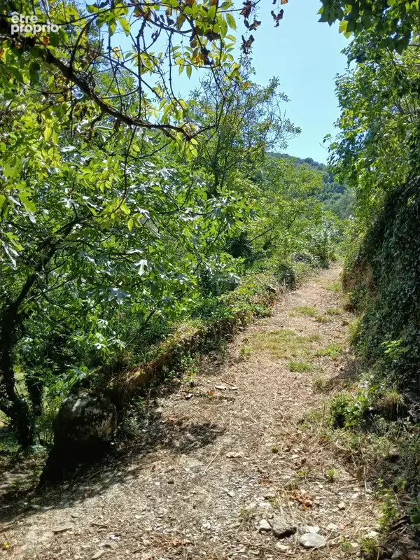 MAS 360 de volume + 25 hectares. - photo 25