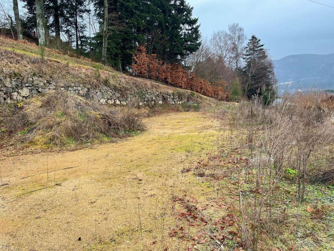 Photo 2 - Terrain à SAINT-NABORD