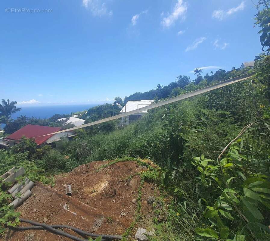 Terrain - 550 m² - La Montagne - photo 3