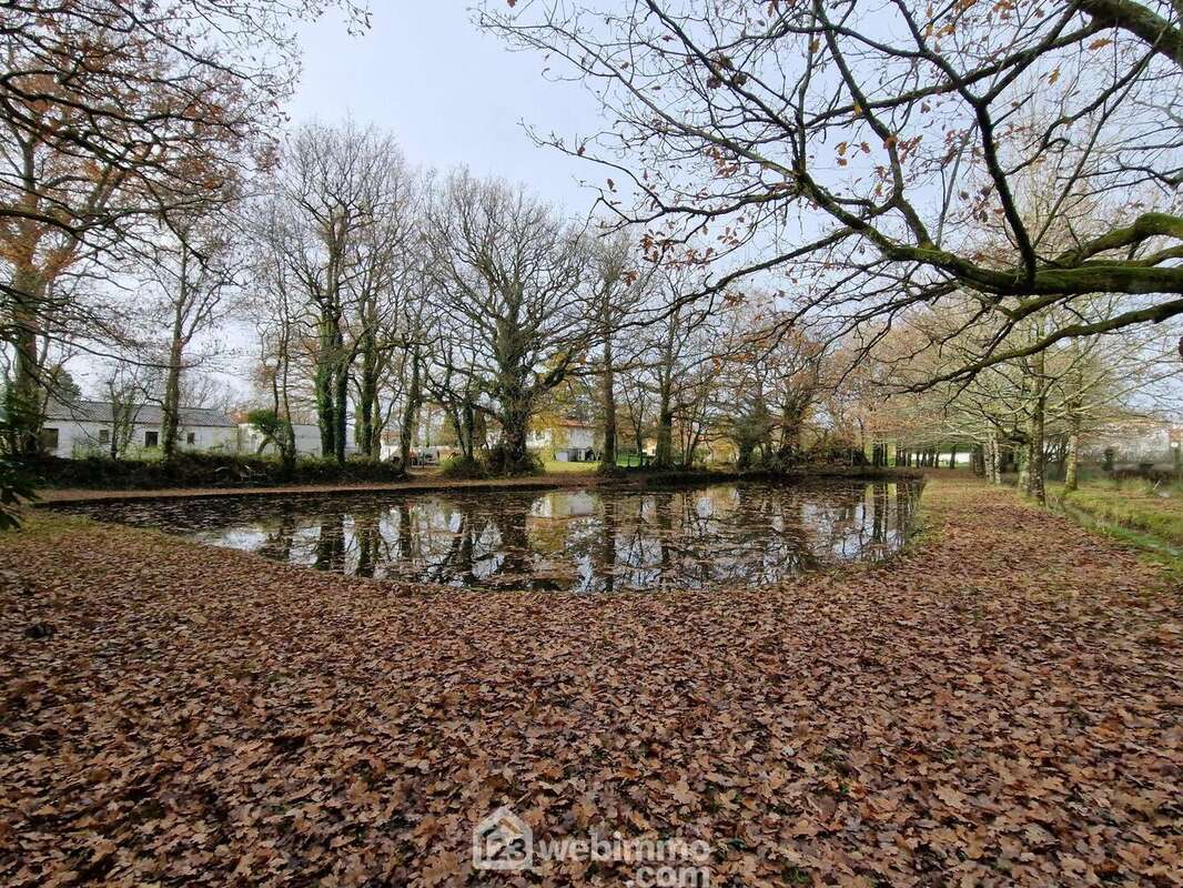 Terrain à VENANSAULT
