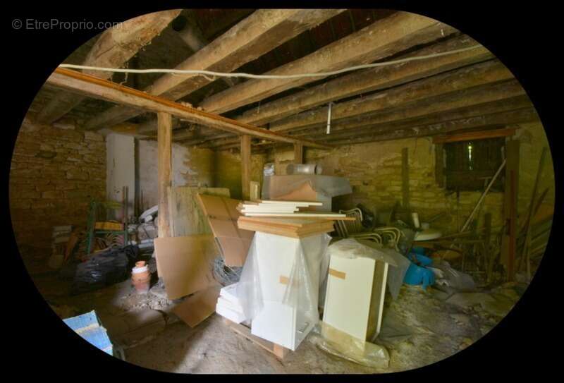 Propriété à vendre à Touchay : 2 maisons avec 4.5 hectares TOUCHAY (18) - photo 22