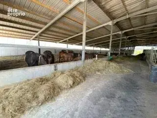 Haras de Reproduction Clé en Main sur 52 ha dans le Morbihan (5 - photo 3